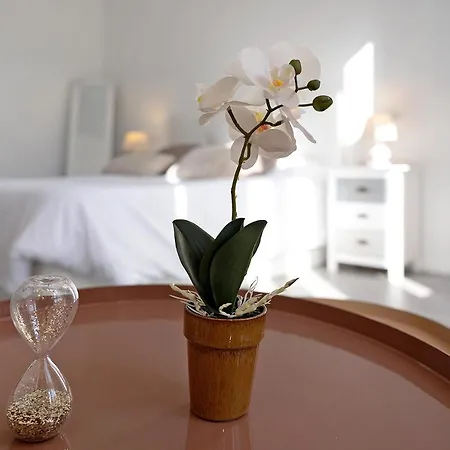 Apartamento Casa Manuela Las Palmas de Gran Canaria